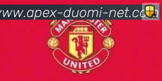 多米体育合作伙伴